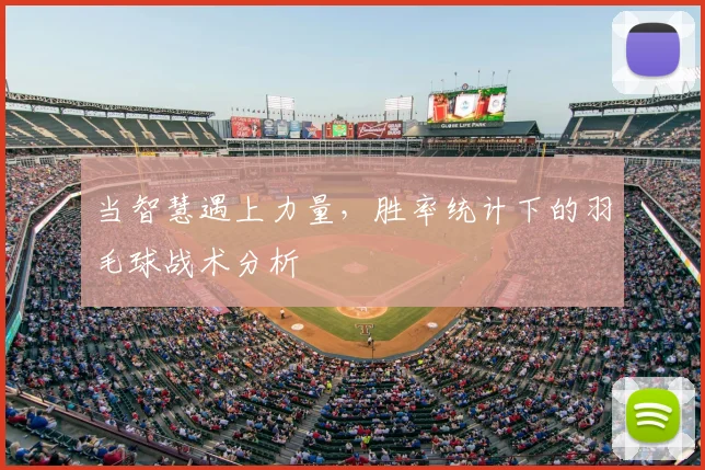 当智慧遇上力量，胜率统计下的羽毛球战术分析