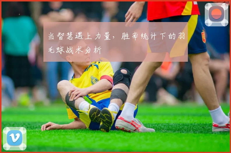 当智慧遇上力量，胜率统计下的羽毛球战术分析